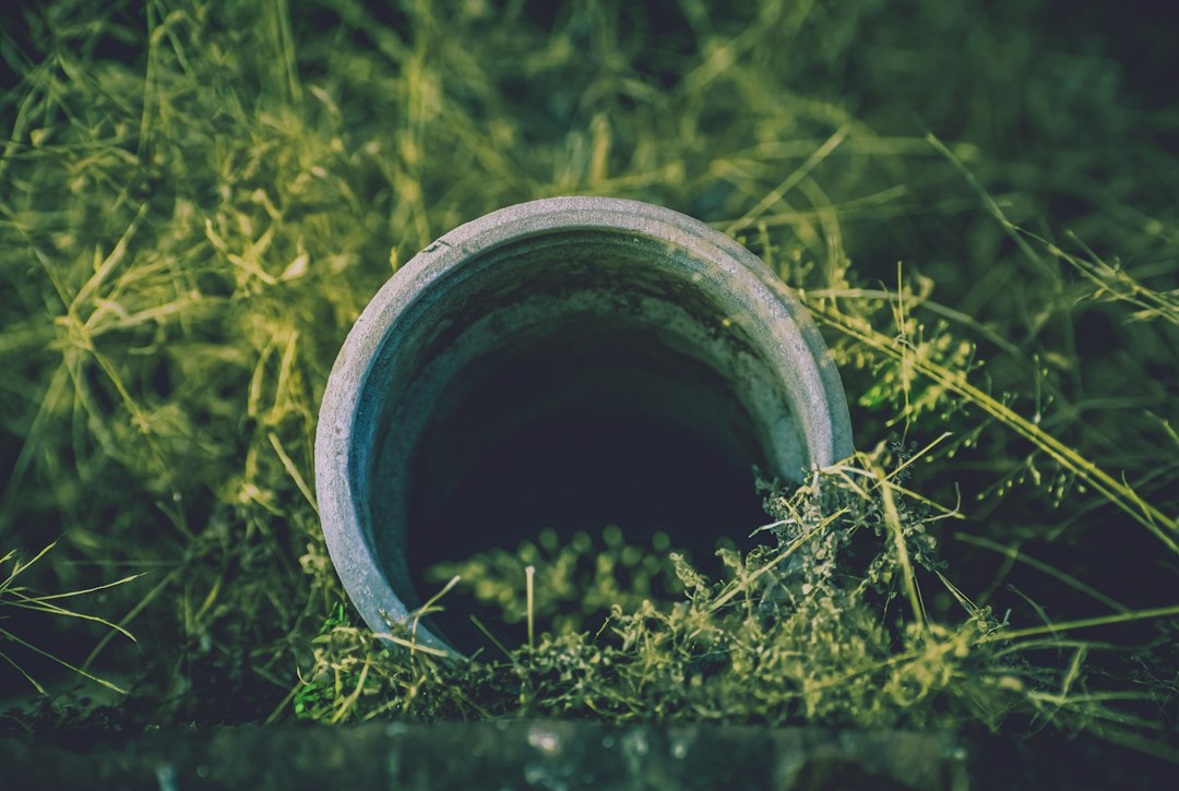 professional plumber using a diagnostic camera to inspect a residential sewer line - how a drain maintenance plan saves