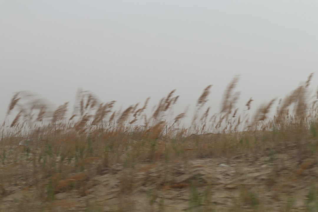 dusty, windy Kansas landscape - heating making noise in haysville ks