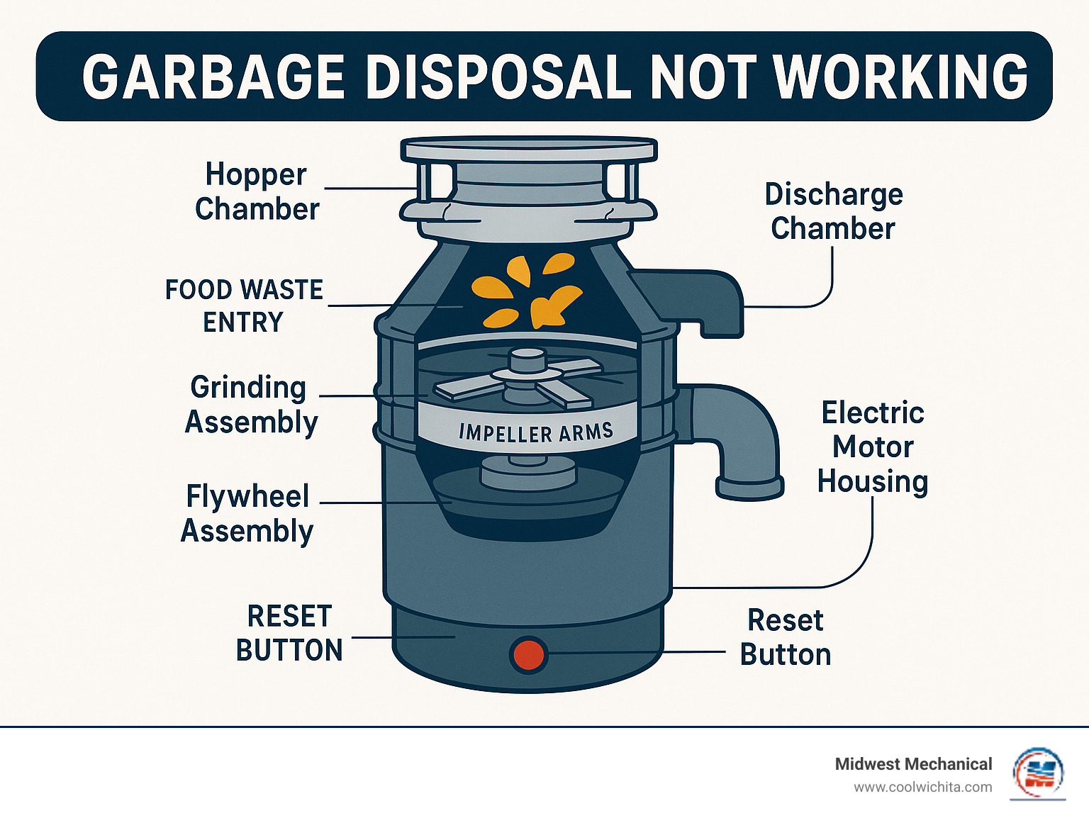 Detailed infographic showing garbage disposal components including hopper chamber with food waste entry point, electric motor housing, flywheel assembly with impeller arms, grinding ring, discharge chamber, and reset button location on bottom of unit - garbage disposal not working infographic