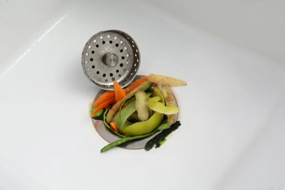 Food scraps in sink drain