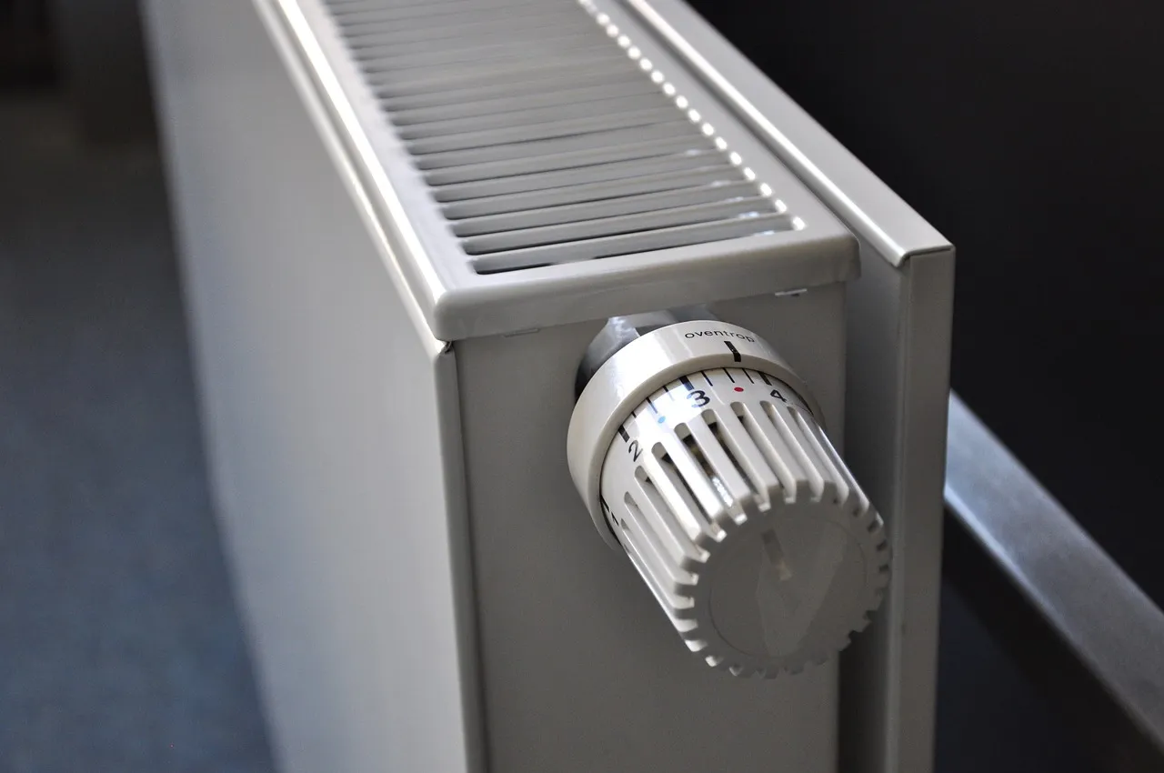 Radiator with thermostat control