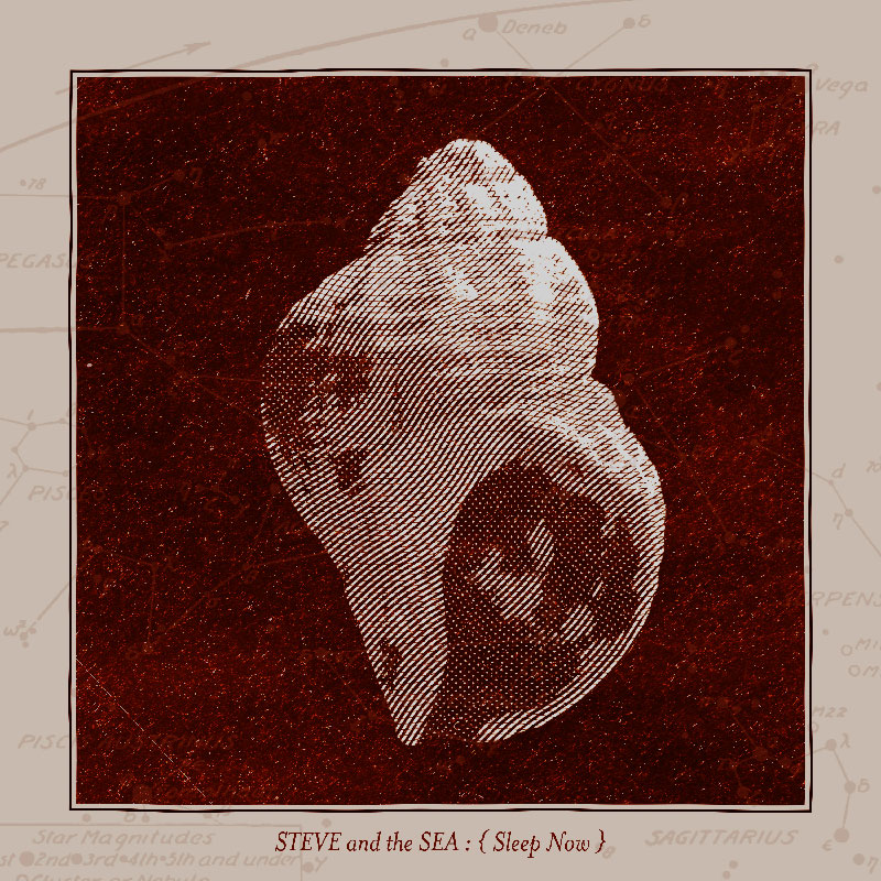 Cover art for "Sleep Now" by Steve and the Sea. The artwork features an image of a whelk shell, presented on a dark brown background in the style of an old fashioned woodcut print. The image is framed by lighter brown, with the artist and tytle written at the bottom.