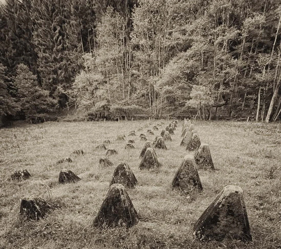 Ghosts in the Forest, image 10