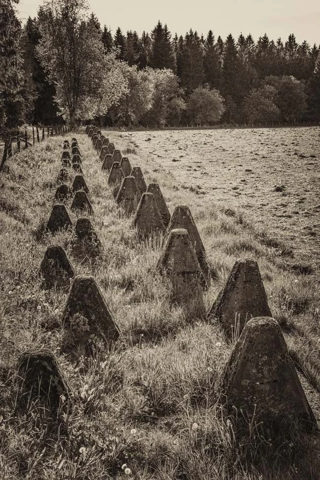 Ghosts in the Forest, image 6