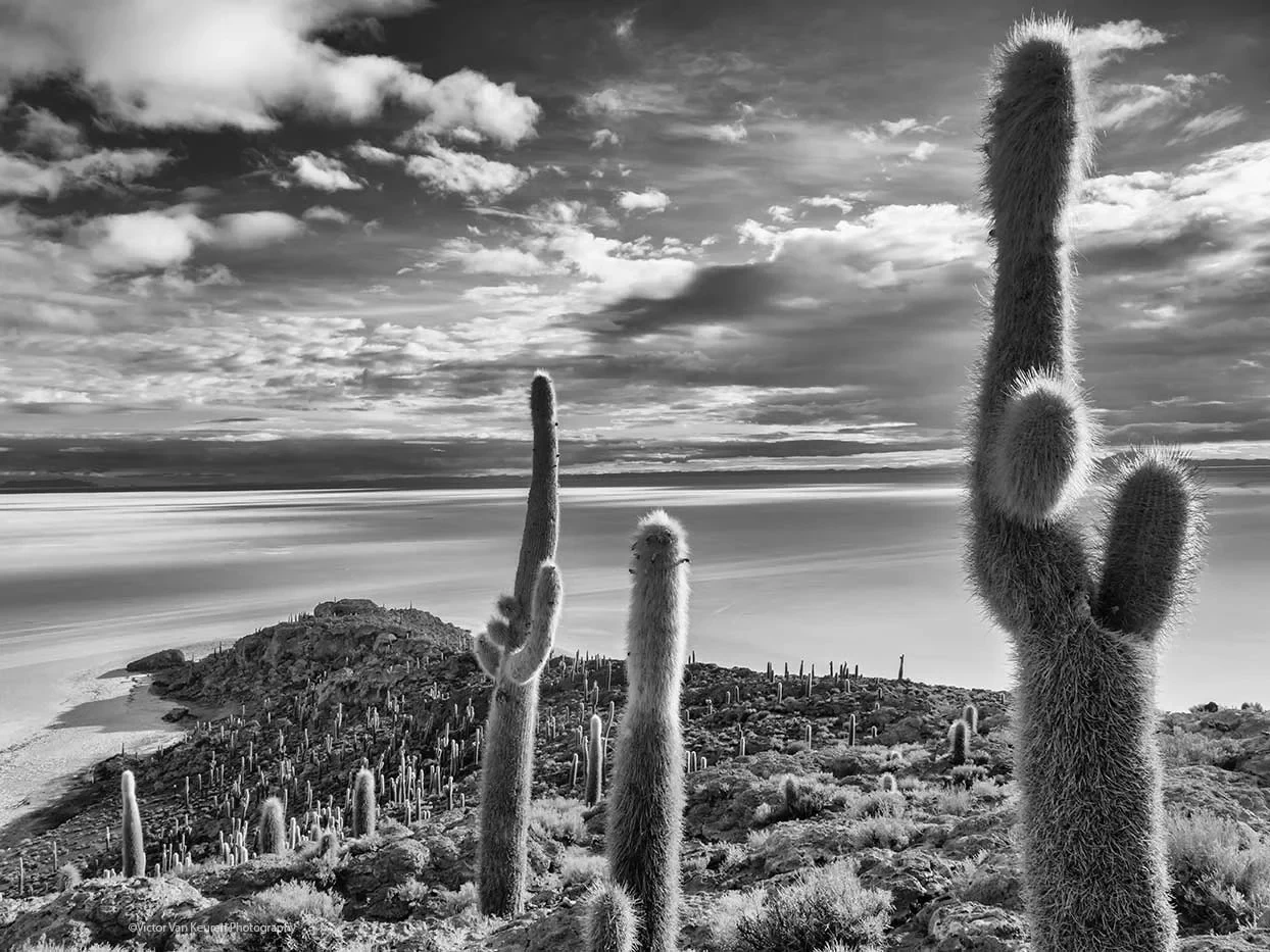 dos desiertos, image 4