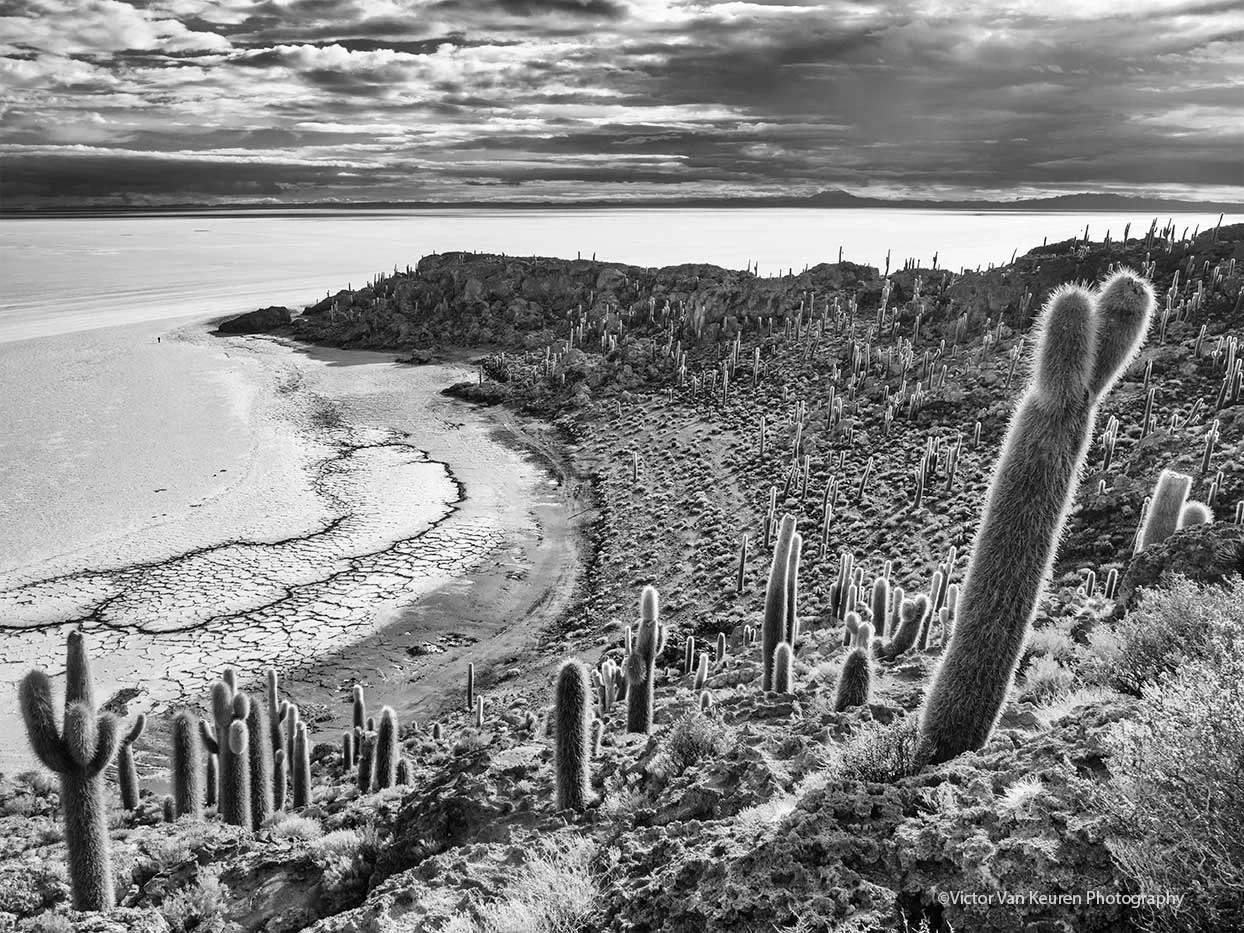 dos desiertos, image 6