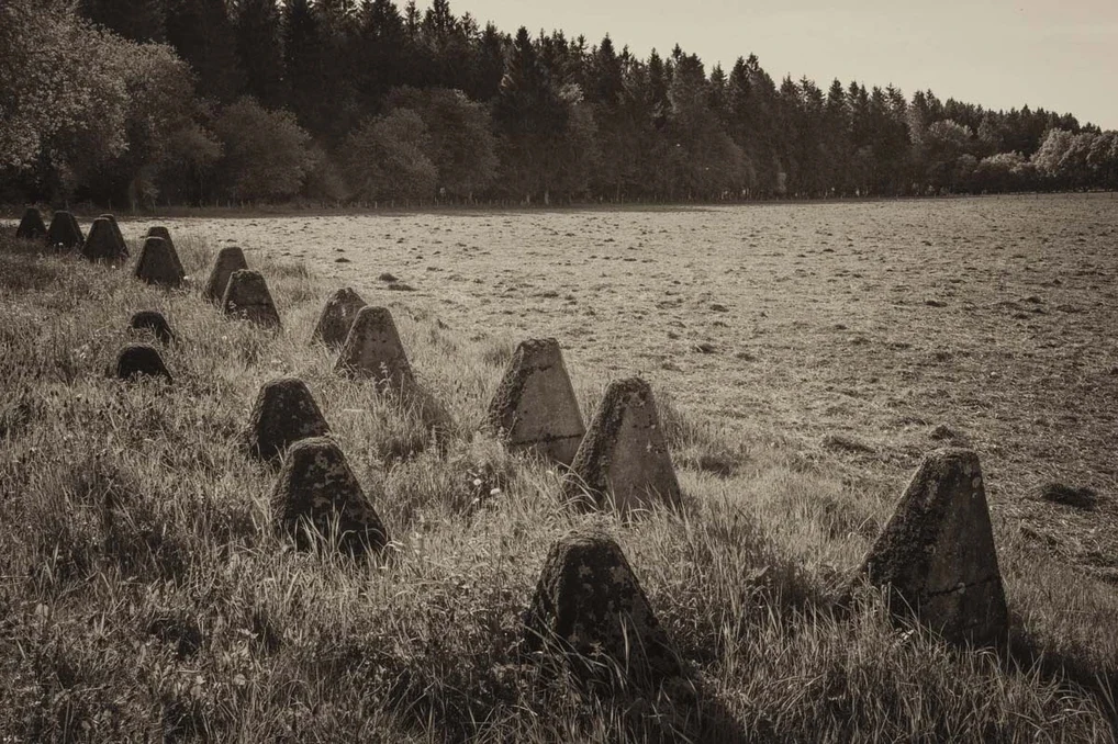 Ghosts in the Forest, image 9