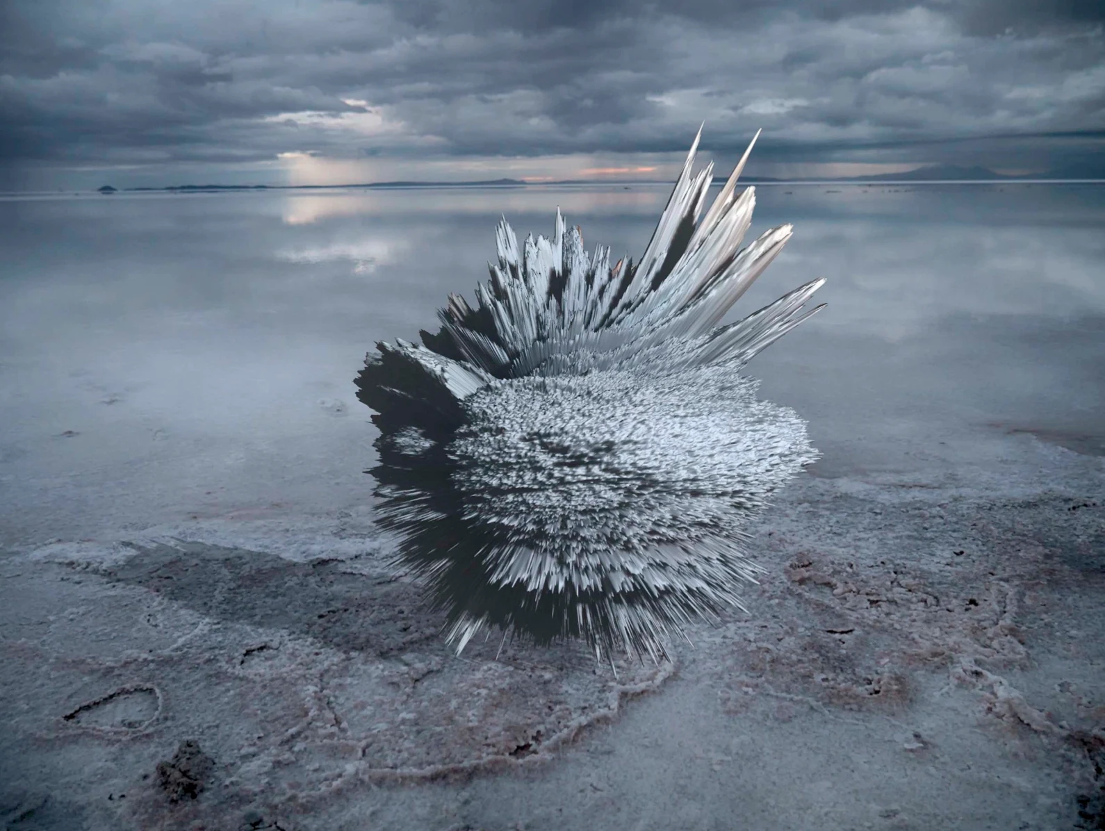 Metamorphoses, image 3