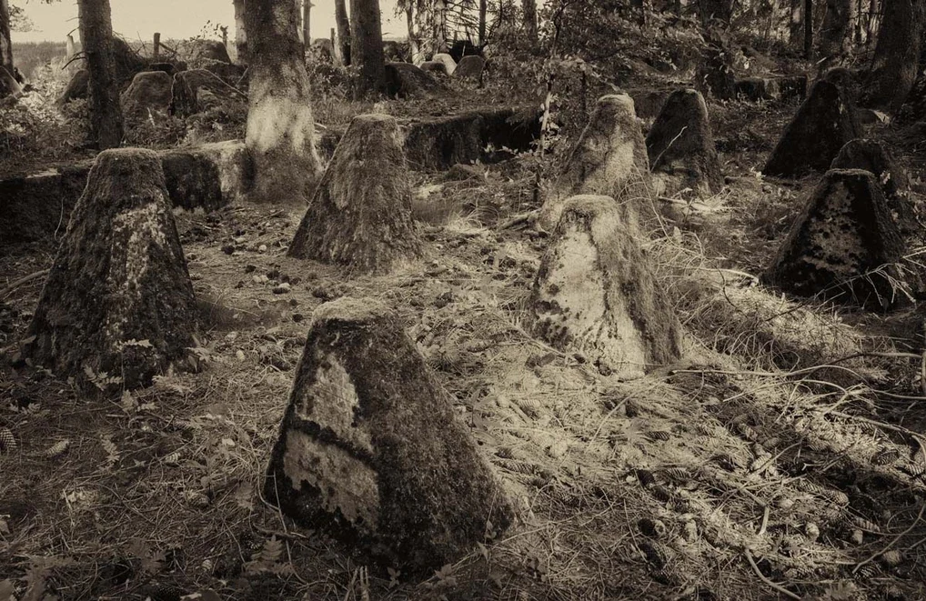 Work from Ghosts in the Forest