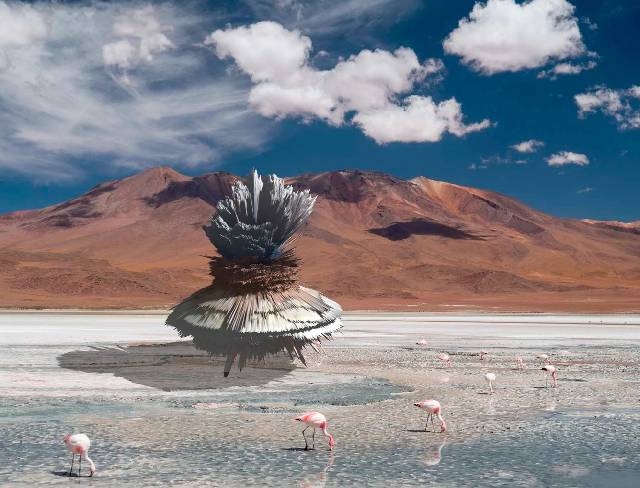 Metamorphoses, image 4
