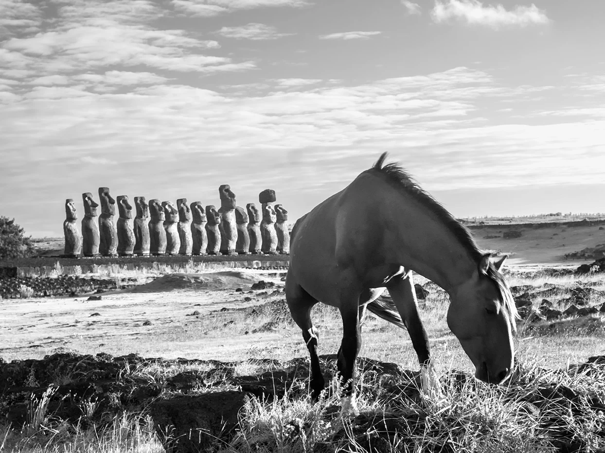 Spiritus — Rapa Nui, image 15