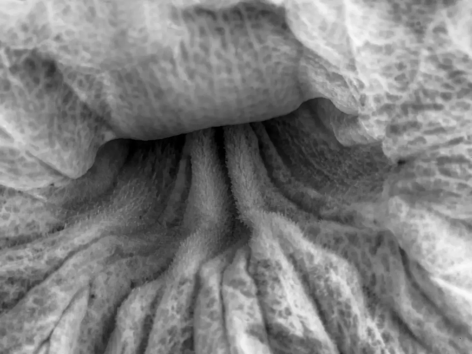 A World of Scale, image 6