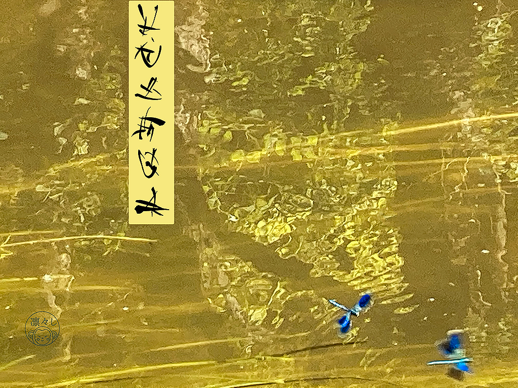 Secret Language, artwork 4