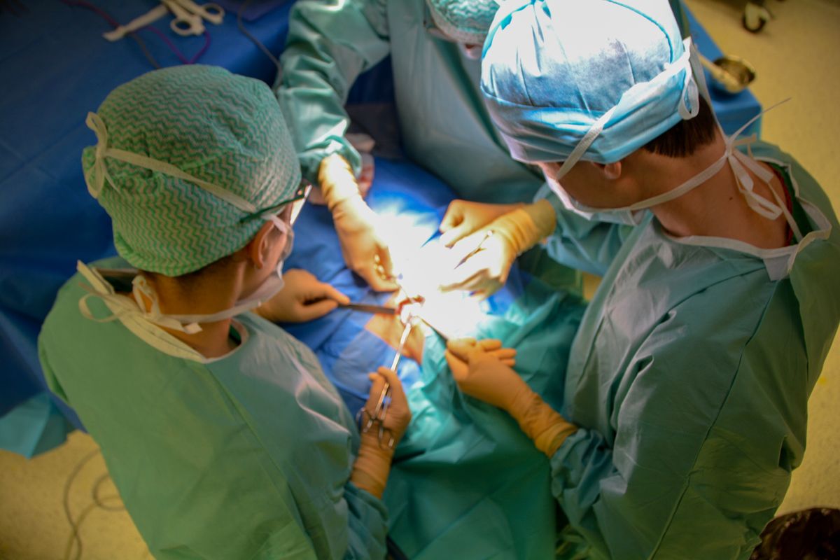 Liver Transplant