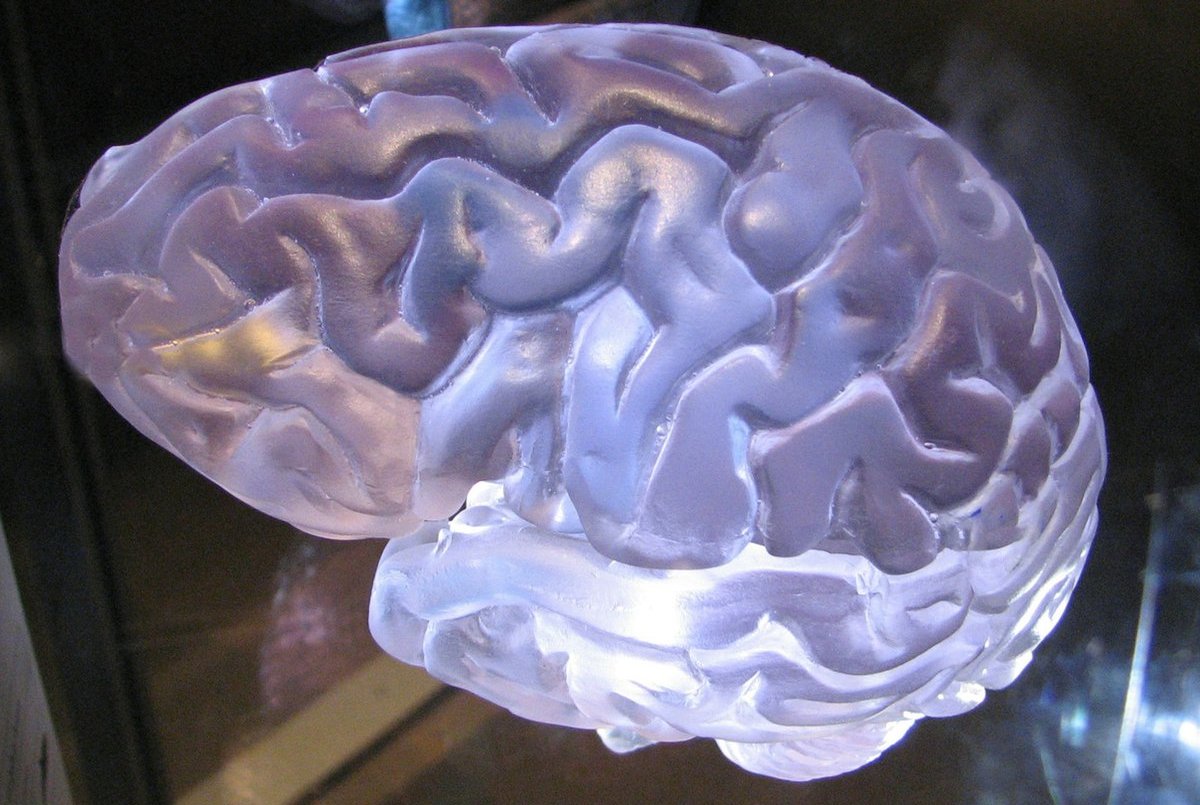 Brain Tumour Surgery