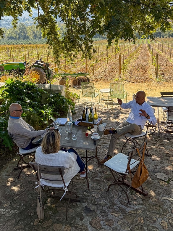 Three people sitting at an outdoor stone table under tree shade, engaged in conversation with bottles and glasses on the table, overlooking a vineyard with rows of grapevines and a green tractor in the background.