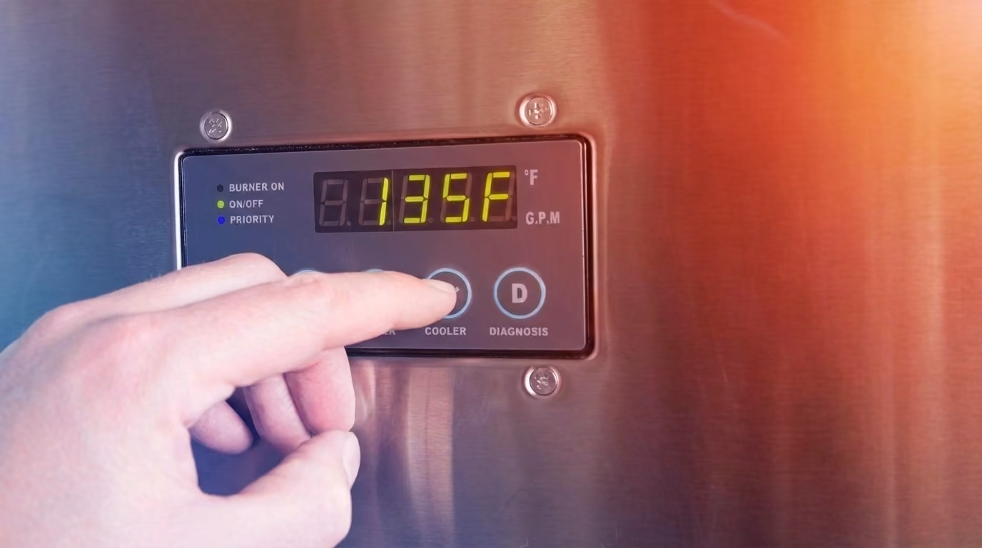 Tankless water heater temperature control