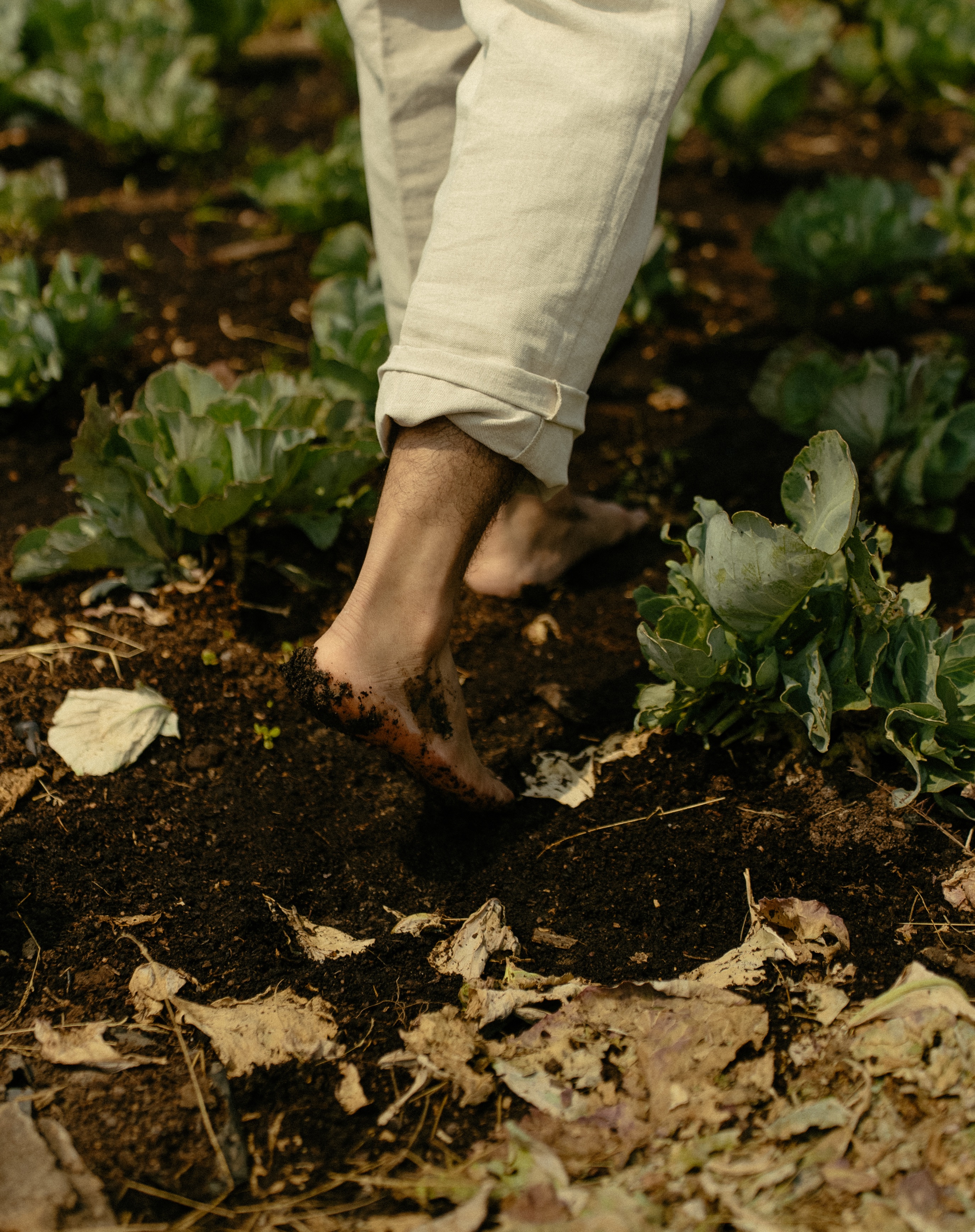 Ervana Wildfarms food and farming