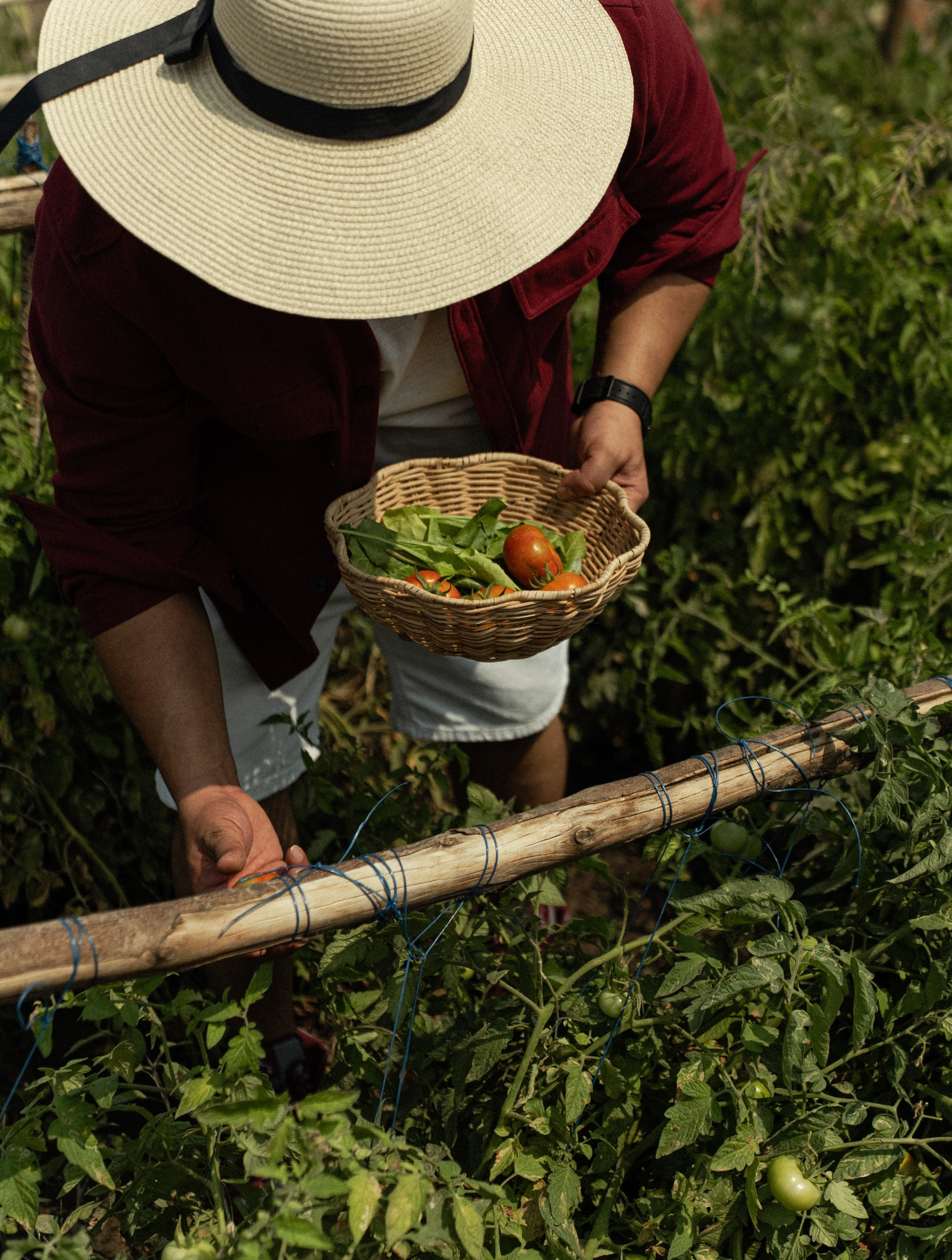 Farm experiences at Ervana Wildfarms