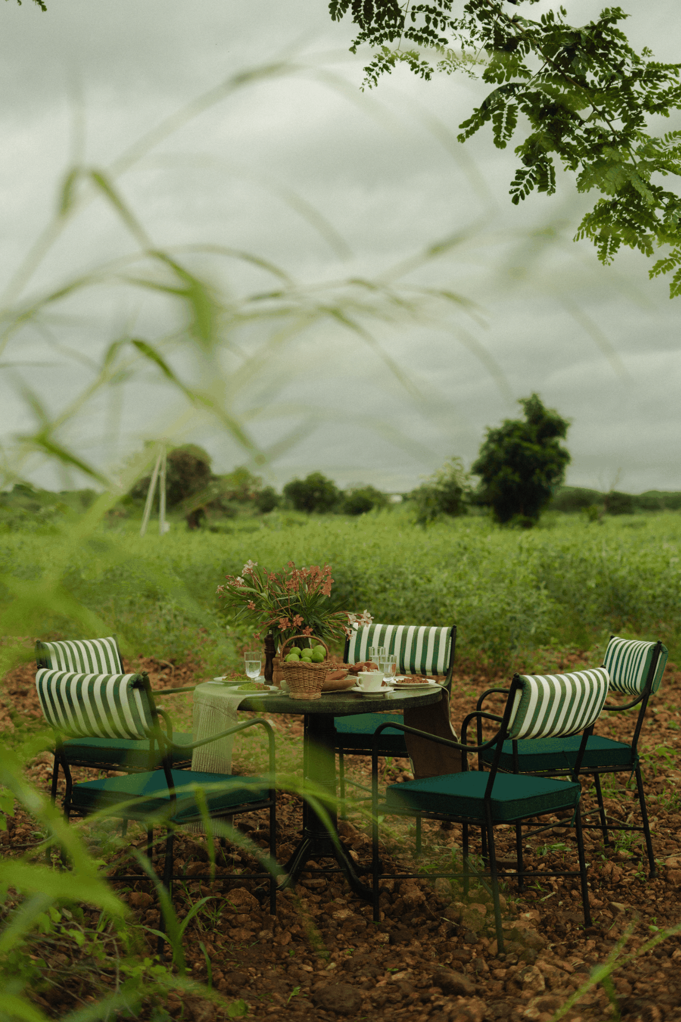 Gatherings at Sila and Ervana Wildfarms