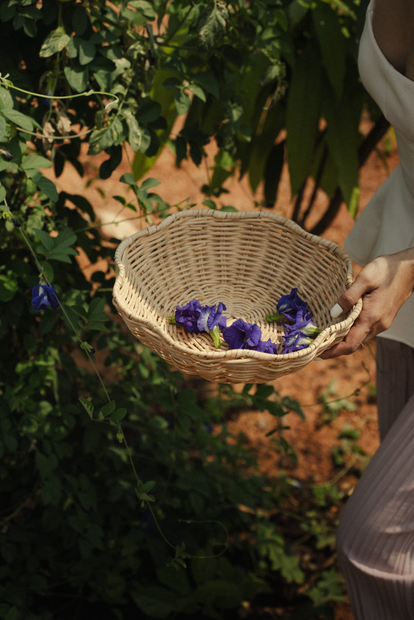 Life at Ervana Wildfarms