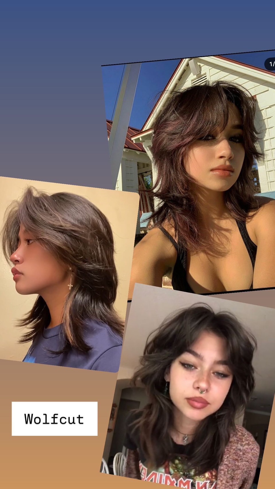 Wolf Cut reference collage showing layered shapes and curtain bangs