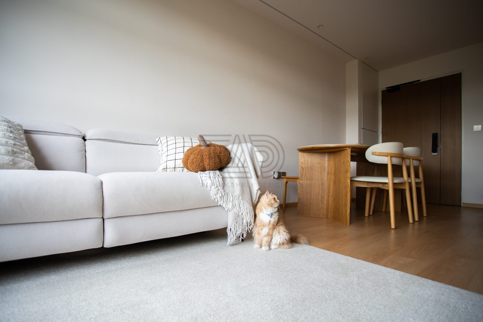 Renovation project photo by The Assembly Design, Singapore