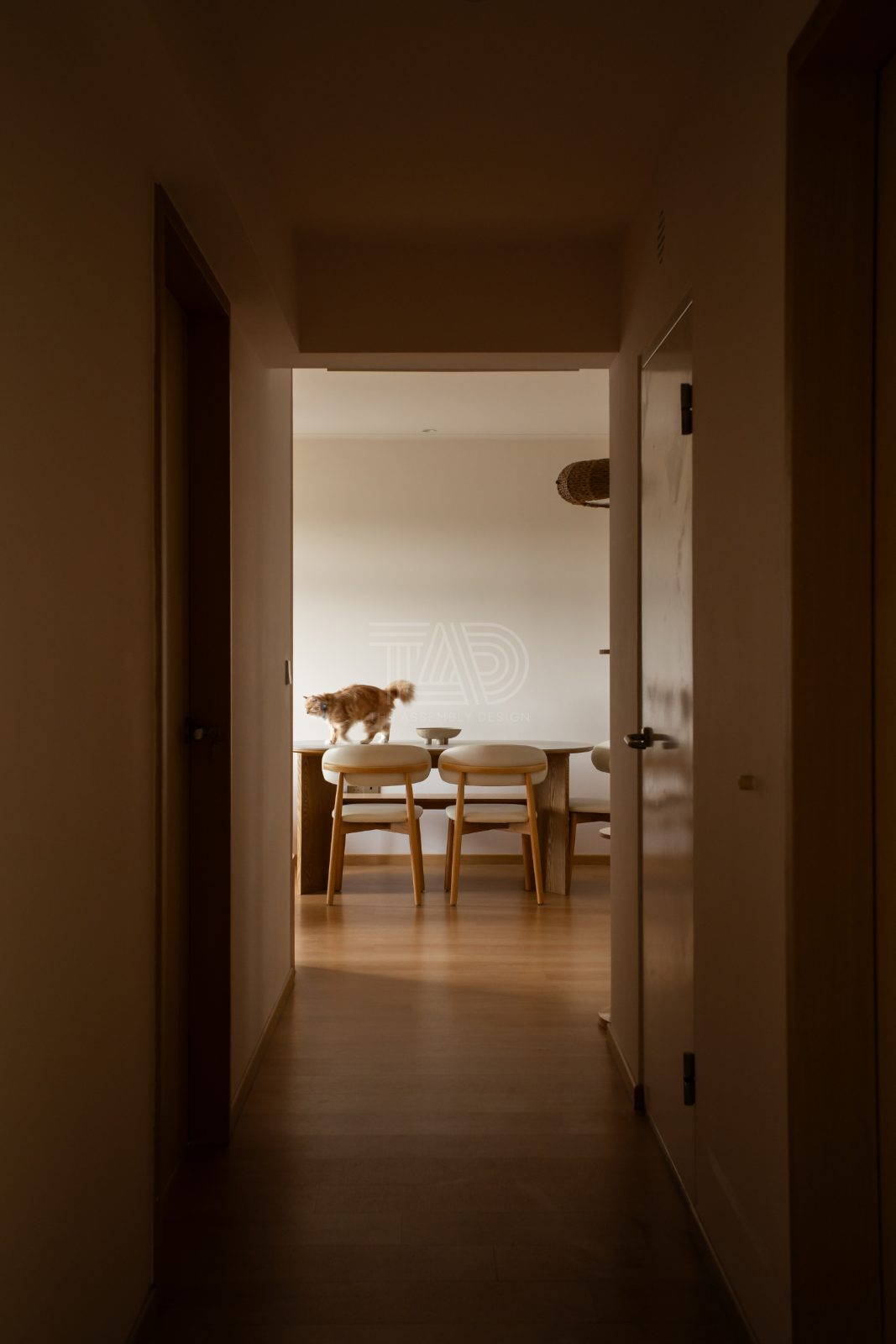 Renovation project photo by The Assembly Design, Singapore