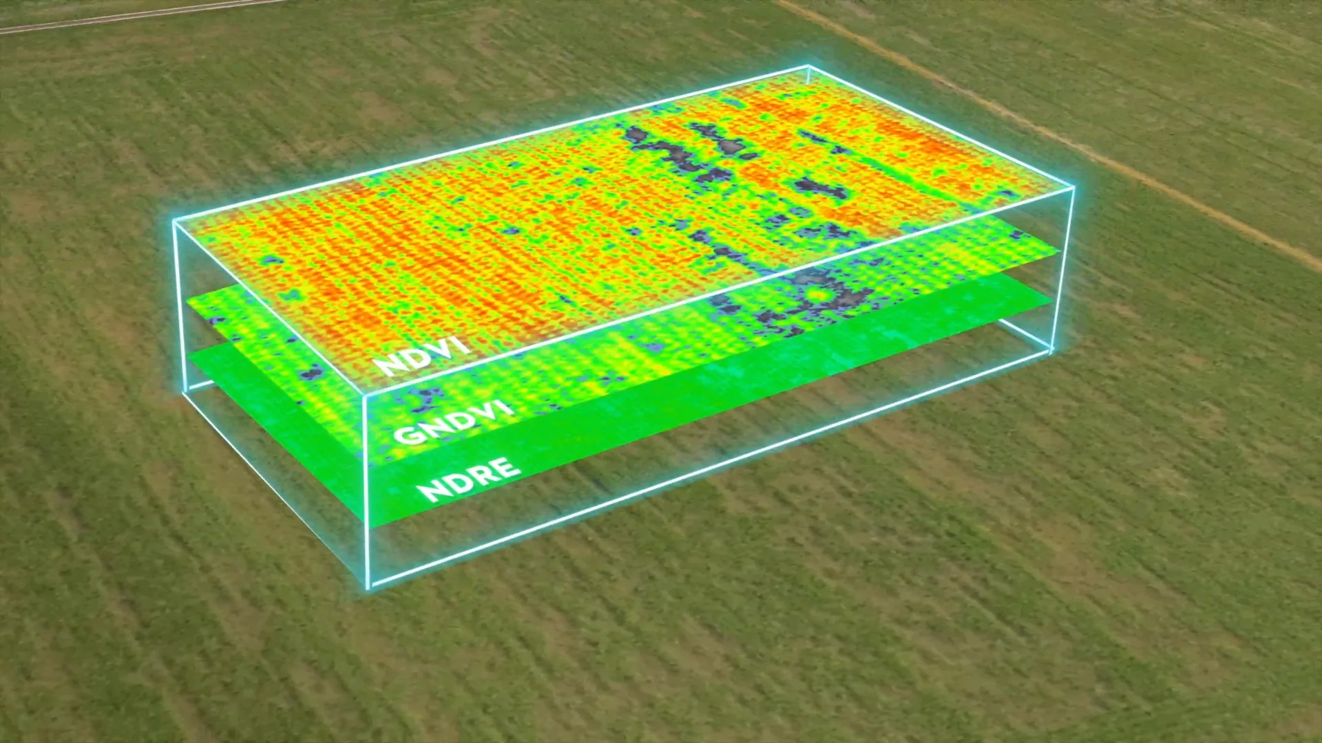 Crop health map layers stacked over a field