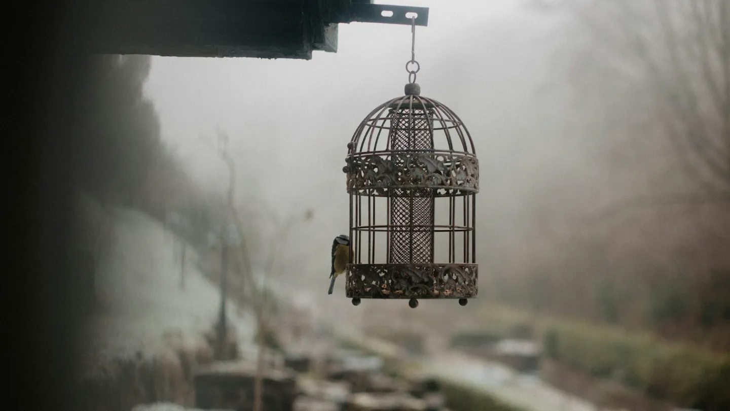 An ornate birdcage hanging outdoors in the mist