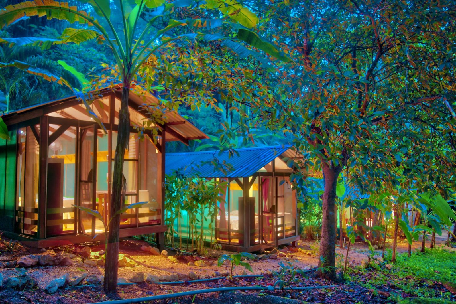 Glamping Hut at Jungle’s Edge