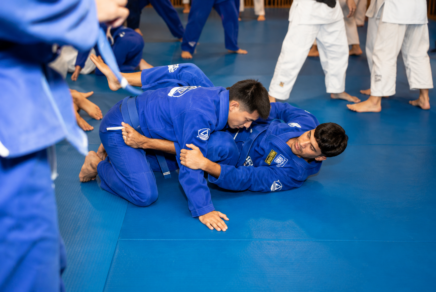Fort Lauderdale Jiu-Jitsu