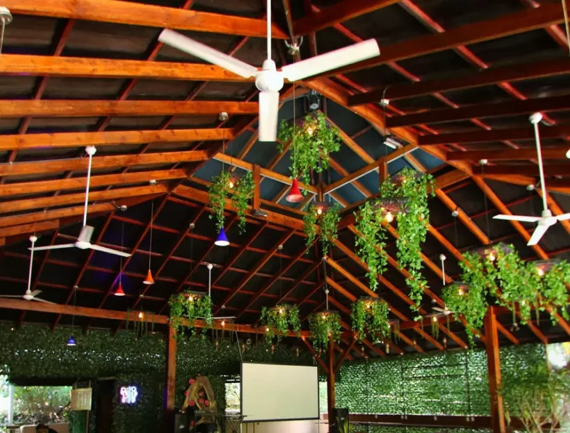Open-air training hall with hanging plants