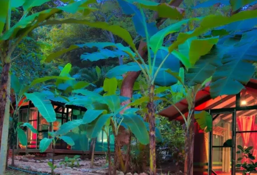 Lotus Grande villa