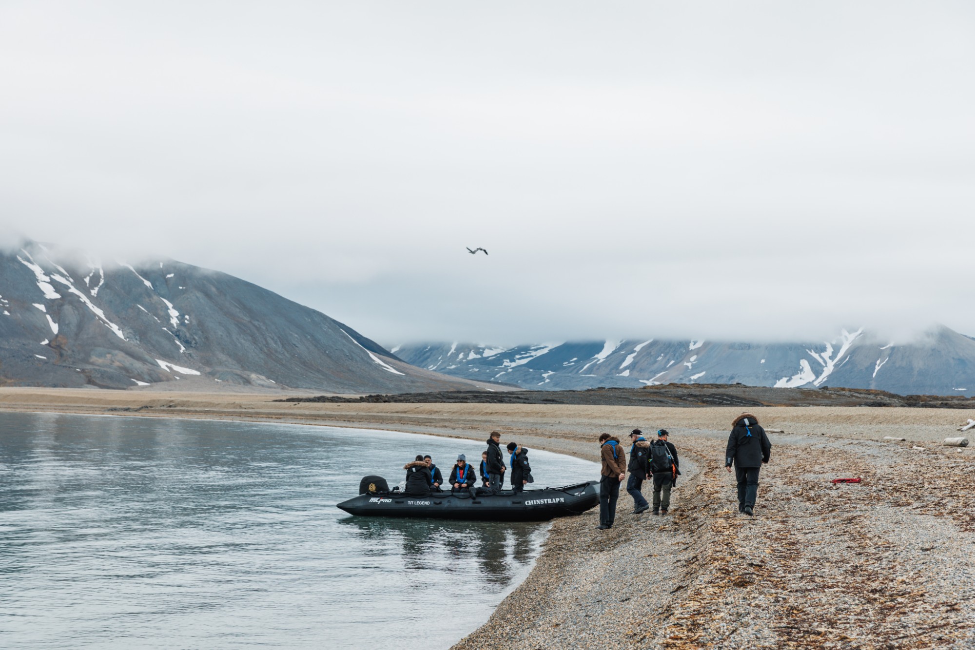 Expedition guests stepping ashore from a Zodiac onto an Arctic beach