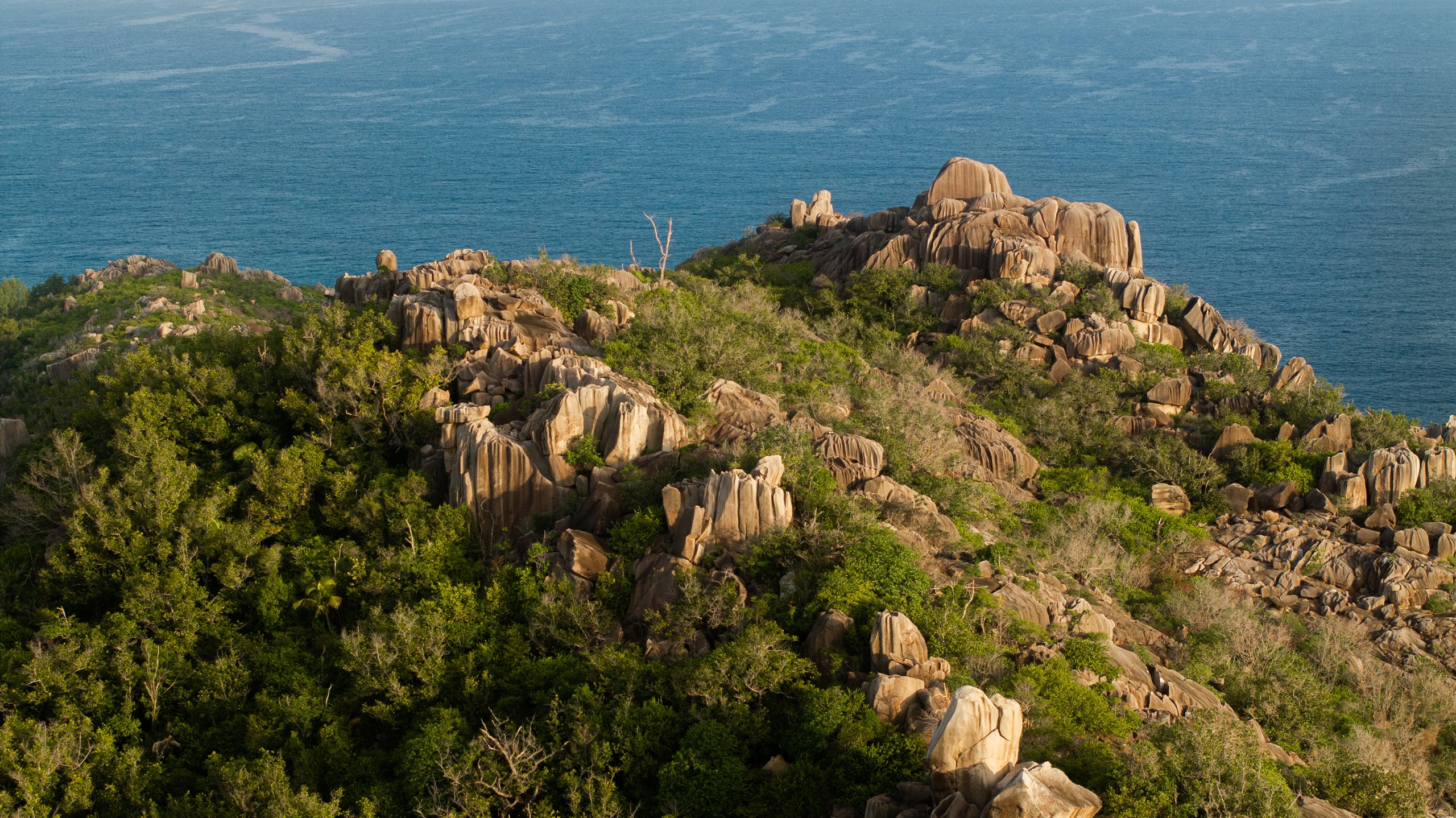 Forested granite hills of a Seychelles inner island