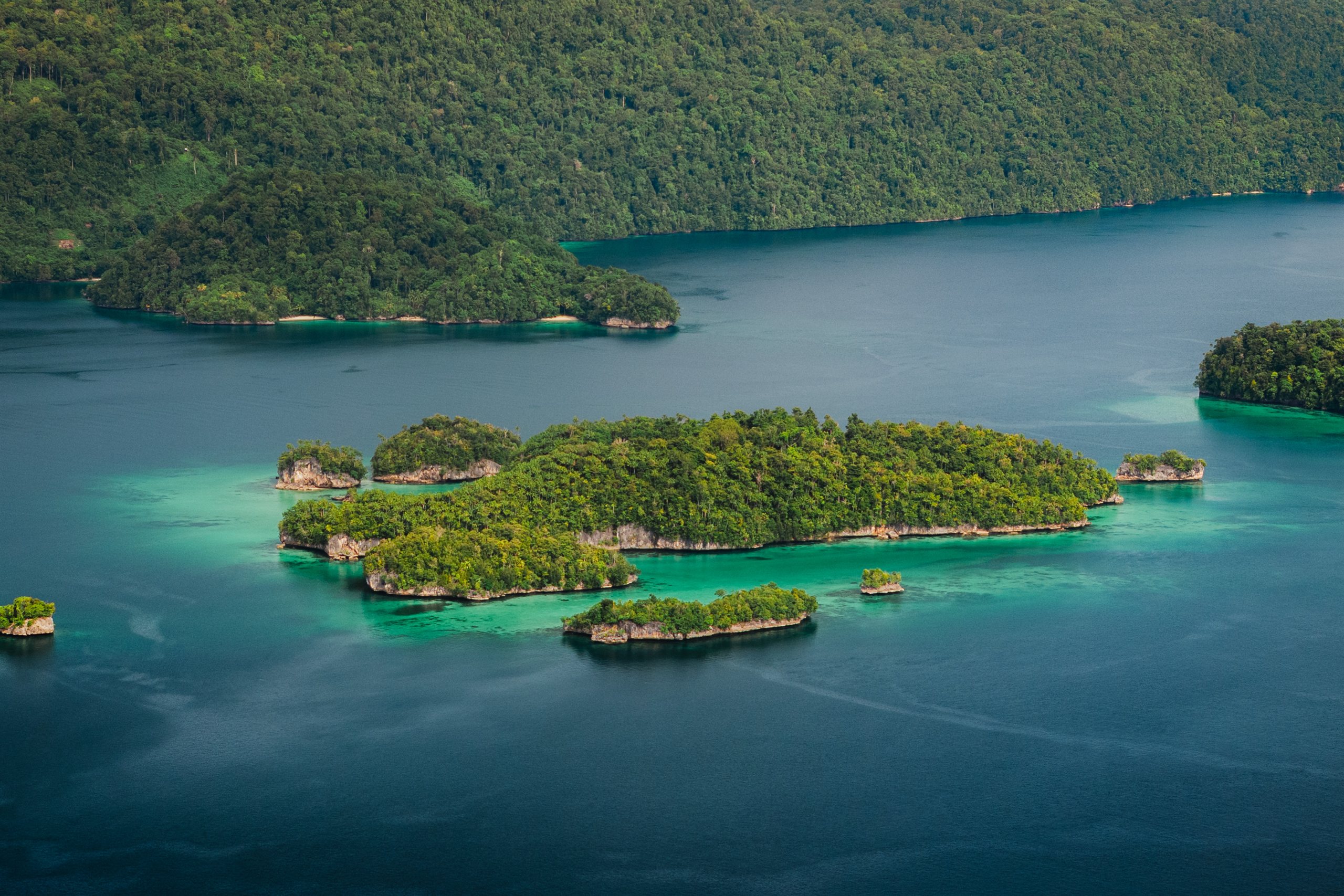 Forested limestone islands in Triton Bay