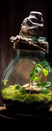 EcoEnergy bottle