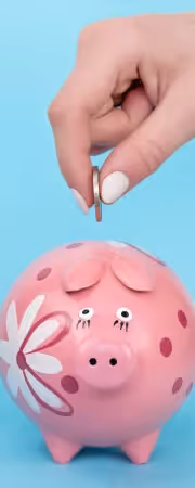 Money save IMG