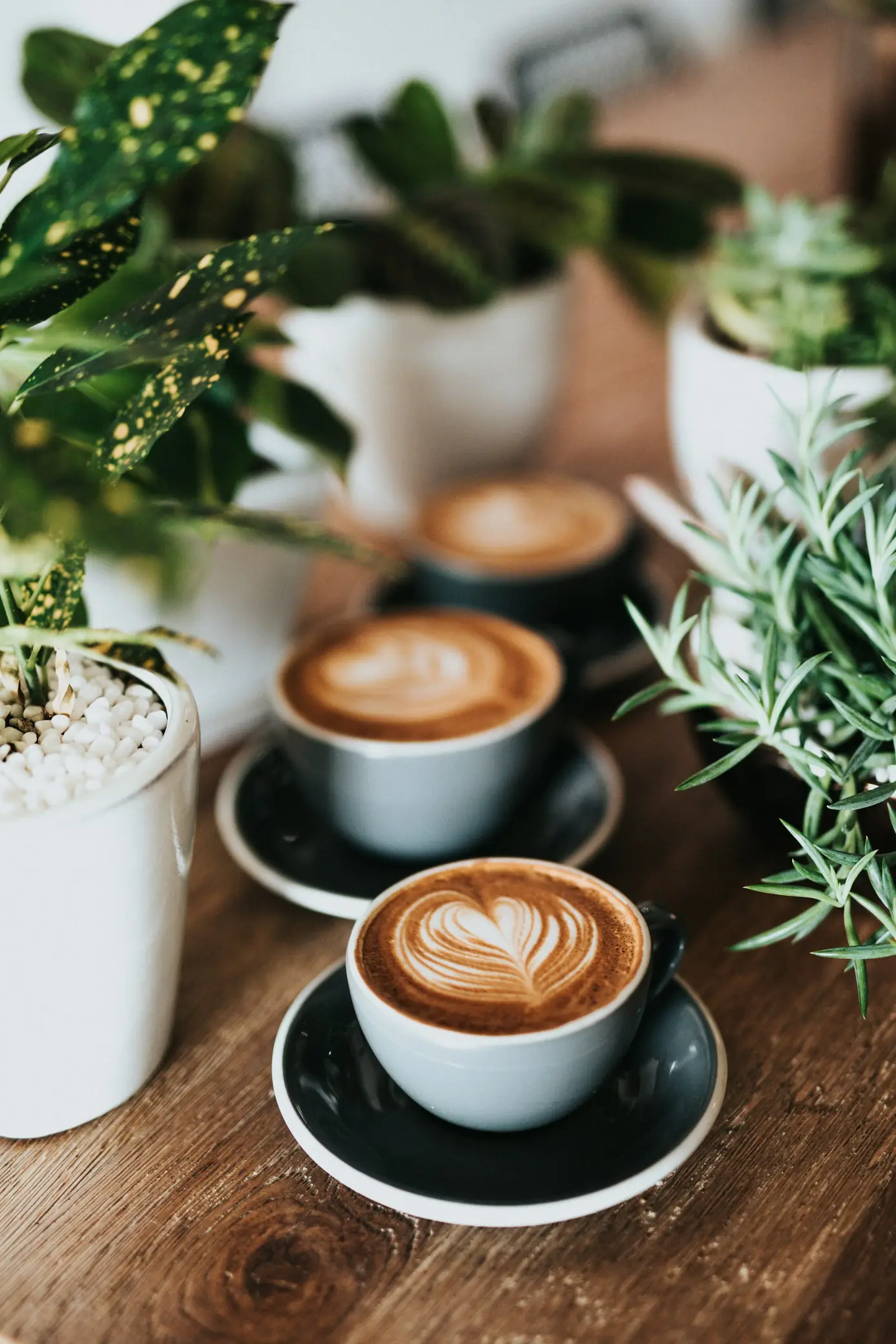 Barista pouring coffee into a branded cup