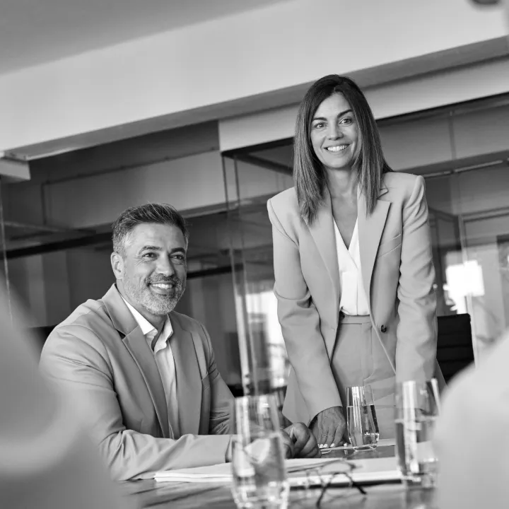 Two colleagues leading a meeting