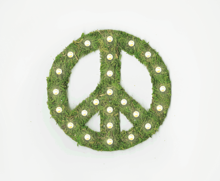 Mossy peace sign animation with blinking white lights