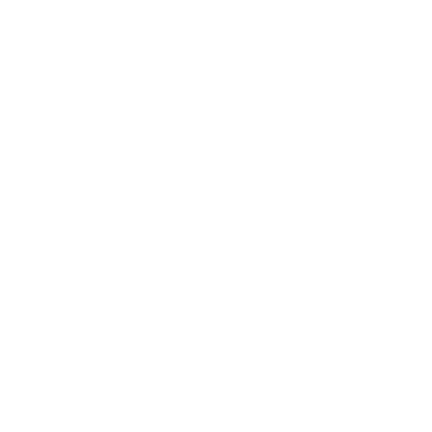 Designs Take Flight little logo line bird