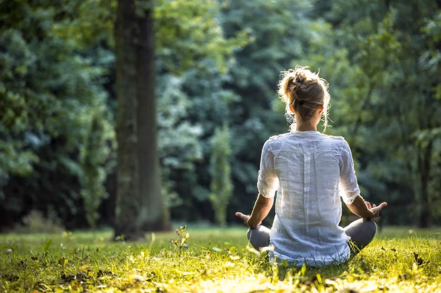 Stress Management Techniques for Busy Professionals: Stay Calm and Focused