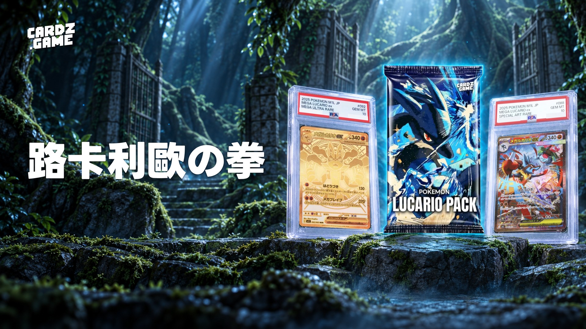 CARDZ.GAME 路卡利歐の拳橫幅