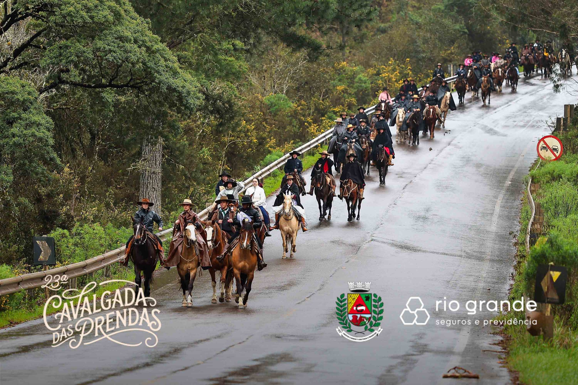 Fila de prendas a cavalo na estrada entre as araucárias
