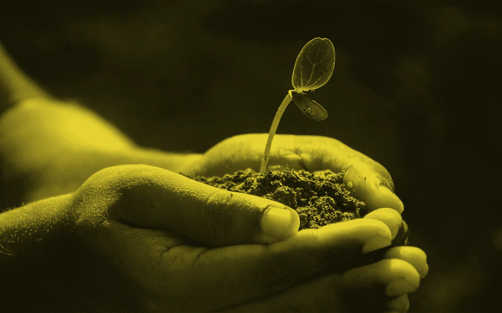 Why your company won’t keep growing without a comms strategy