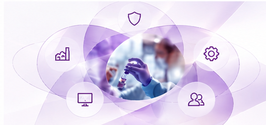 Connected expertise visual