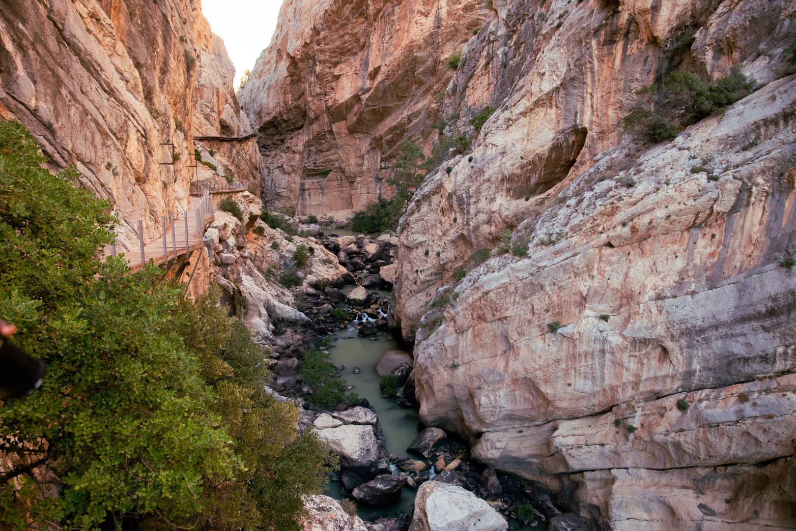 Narrow rocky canyon with a trickling stream between pale cliff walls