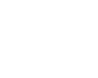 Hotel Boreal